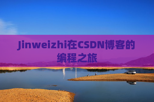 Jinweizhi在CSDN博客的编程之旅